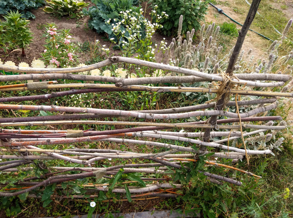 Cheap And Angry: a Designer Fence Made Of Ordinary Branches