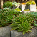 Practical Cottage Crafts Made Of Concrete Blocks