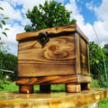 A Casket Made Of Burnt Wood