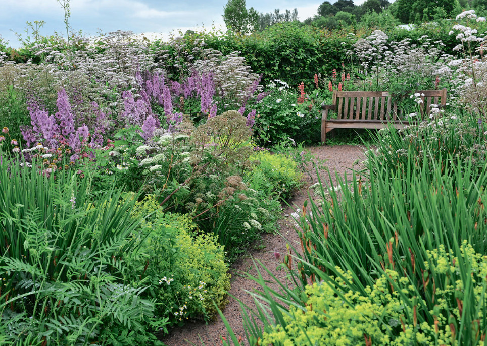 Amazing Flower Beds With Delphiniums: 12 Valuable Tips And Ideas