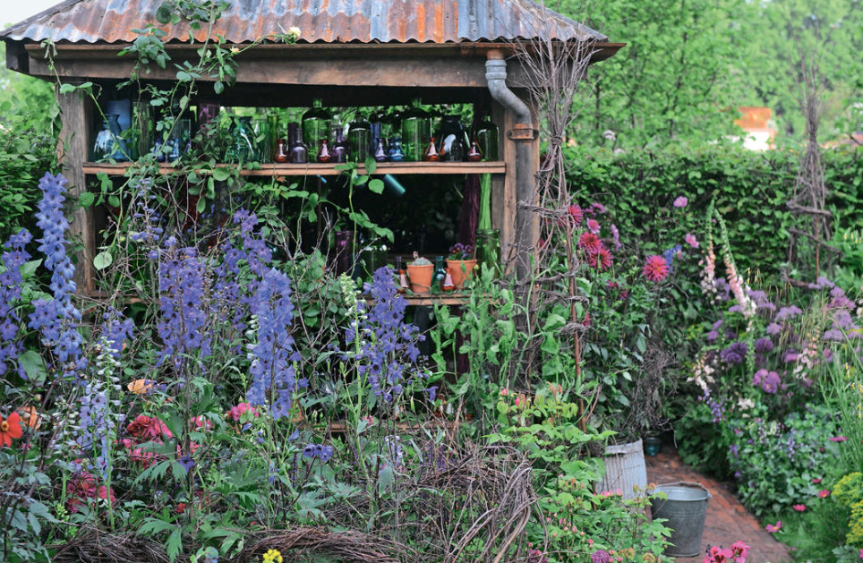 Amazing Flower Beds With Delphiniums: 12 Valuable Tips And Ideas