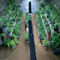 How To Build a Warm Greenhouse: Construction And Installation Of a Heating System