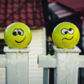 Ideas Of Original And Unusual Fences For Cottages