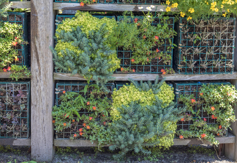 Ideas Of Original And Unusual Fences For Cottages