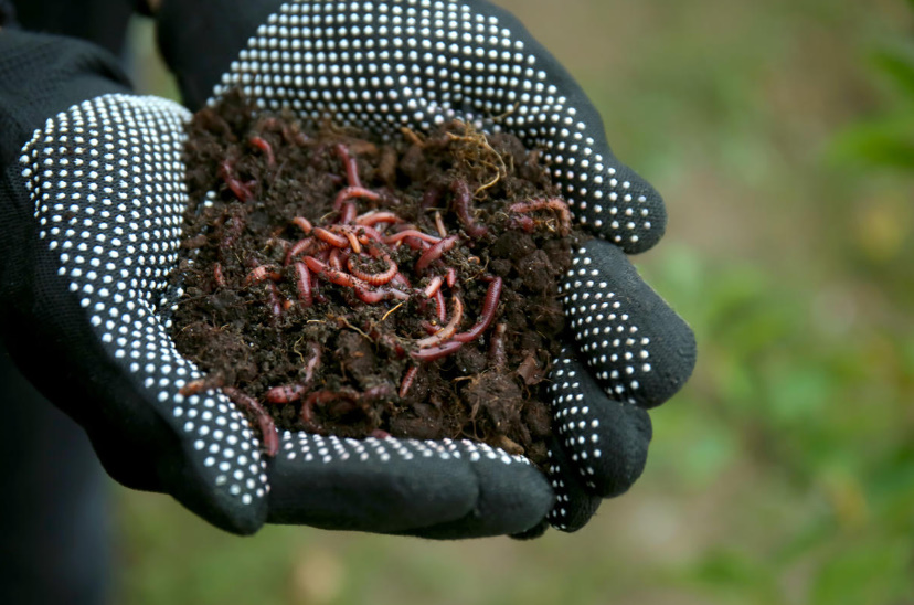 An Old Bathtub Will Come In Handy In a Country House. Prepare Compost In It