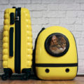 Choosing a Pet Carrier
