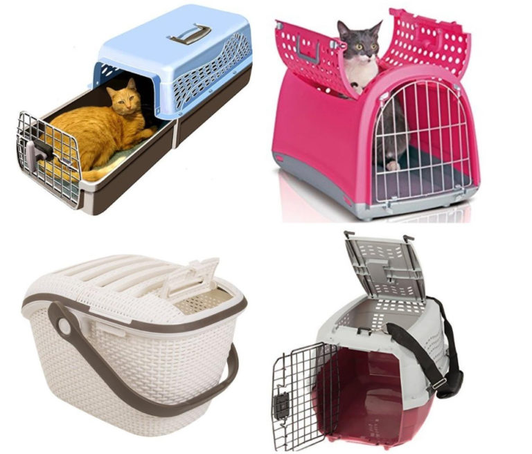 Choosing a Pet Carrier Best Landscape Ideas
