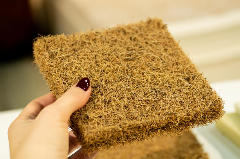 Coconut Substrate And Products Made From It: 10 Ways To Use (Part 2)