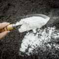 Dolomite Flour: How To Use It Correctly In The Garden And Vegetable Garden