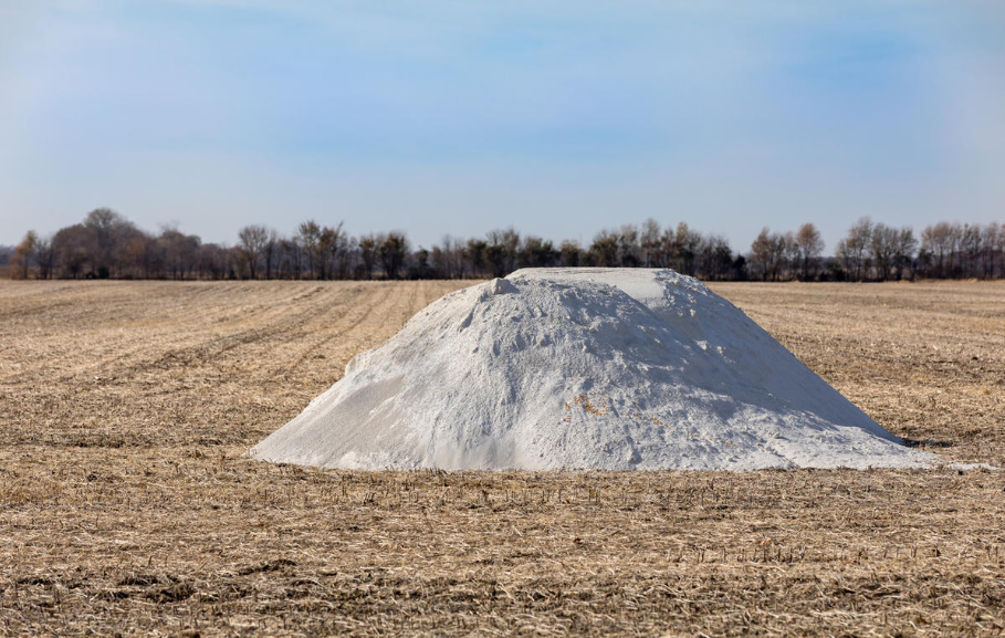 Dolomite Flour: How To Use It Correctly In The Garden And Vegetable Garden