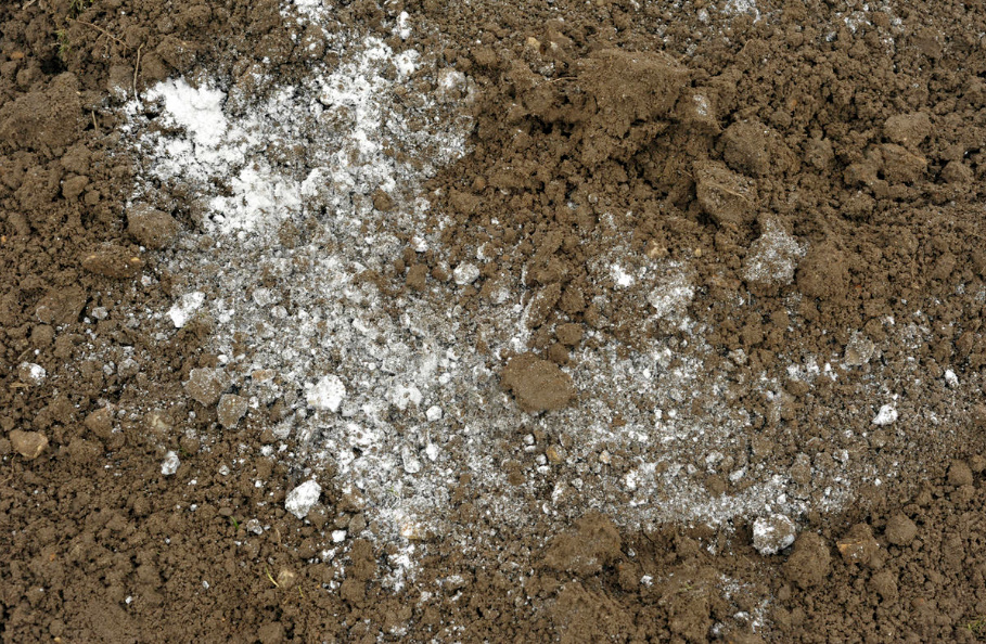 Dolomite Flour: How To Use It Correctly In The Garden And Vegetable Garden