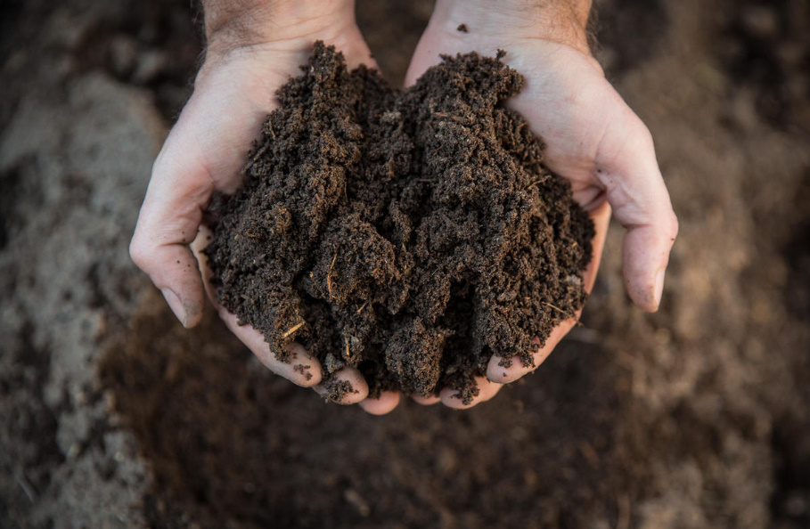 Dolomite Flour: How To Use It Correctly In The Garden And Vegetable Garden