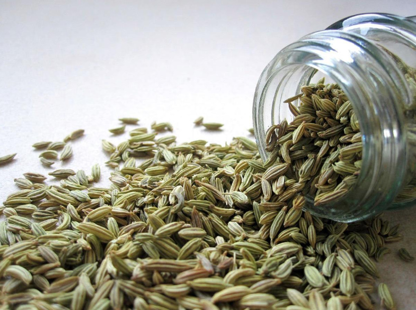 Fennel: Useful Properties And Contraindications