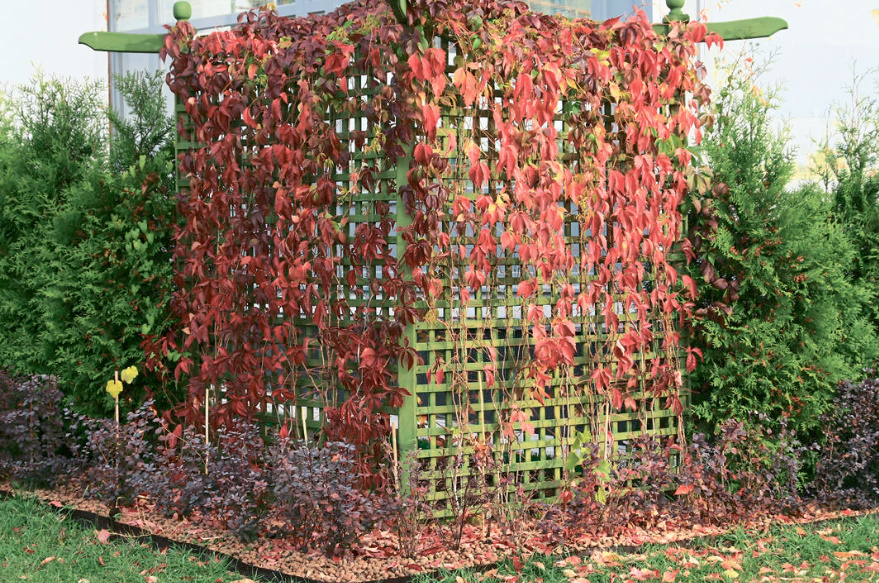 Landscape Design Of The Plot In Detail: Small Forms In The Garden