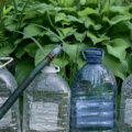 Plastic Bottles With Benefits For The Garden: Saving Water And Fertilizers