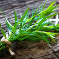 Tarragon: Useful Properties And Contraindications