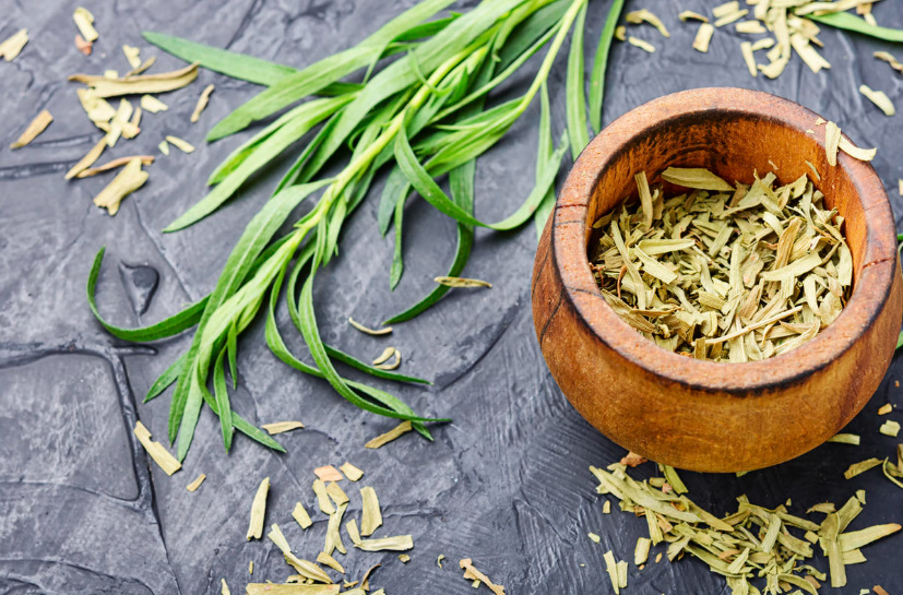 Tarragon: Useful Properties And Contraindications