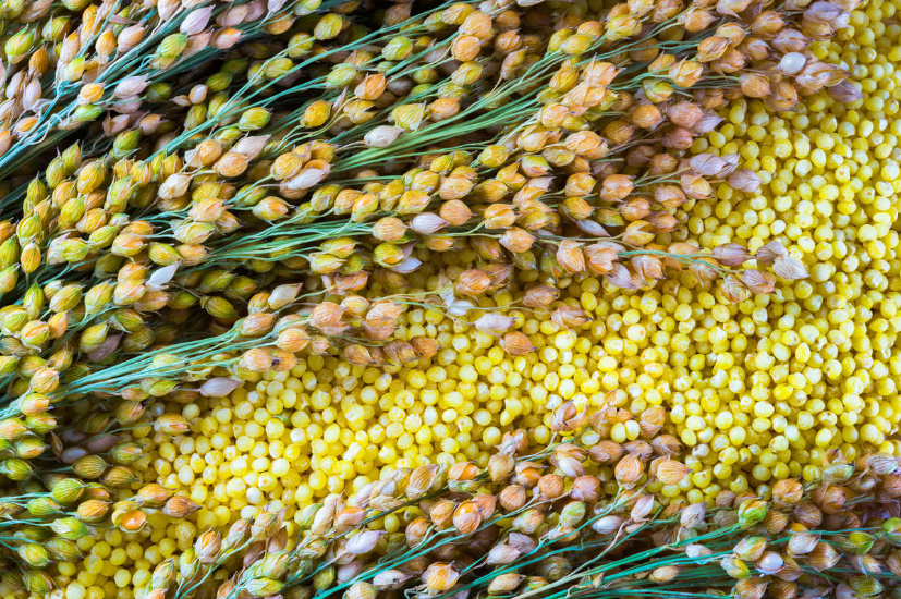 What Cereals Are Made Of: Semolina, Millet, Bulgur And Others