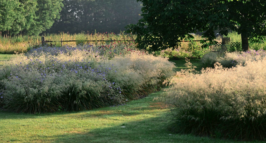 Where To Plant Geraniums: 20 Simple Ideas (Part 1)