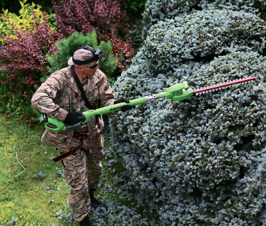 How To Cut Hedges: Golden Tips From The Master Of Topiary Art