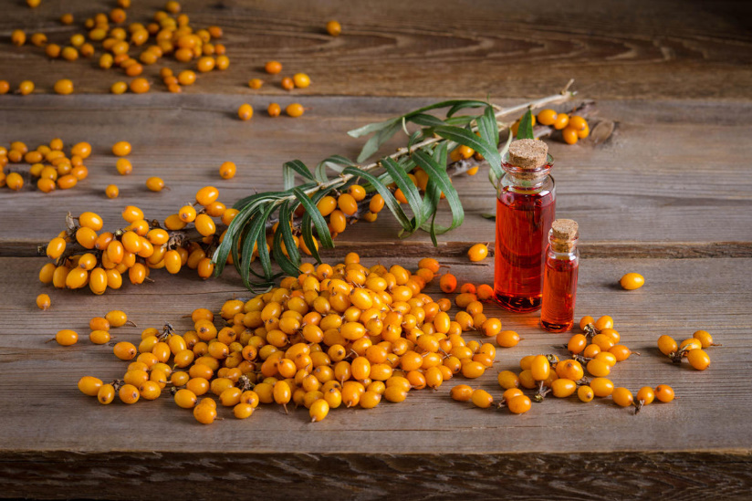 Sea Buckthorn Oil: What Cures And How To Cook It