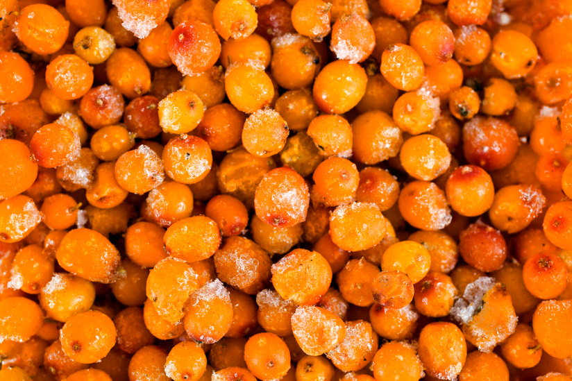 Sea Buckthorn Oil: What Cures And How To Cook It